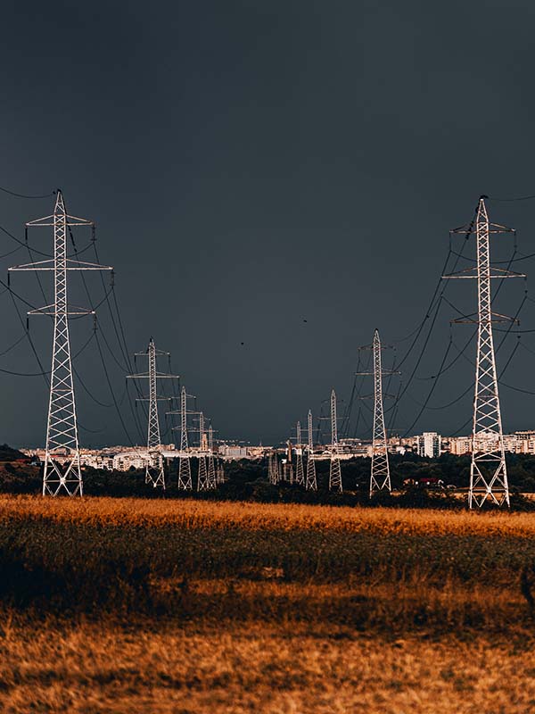 Photorealistic image of a field of tall steel electricity pylons stretching into the distance, set in a golden field of dry grass under a dark blue sky, with a somber and industrial cityscape in the background.